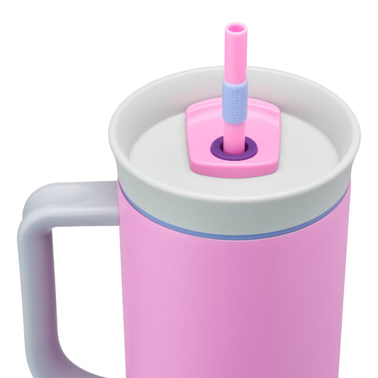 Owala - Tumbler de 40oz. / Clavellina con morado
