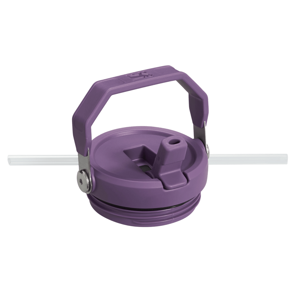 Stanley - Flip Straw Tumbler de 30 oz. / Morado